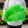 10Pcs Colored Ostrich Feathers 15-50cm Natural Plumes for Crafts Jewelry Accessories Wedding Party Table Centerpieces Decoration