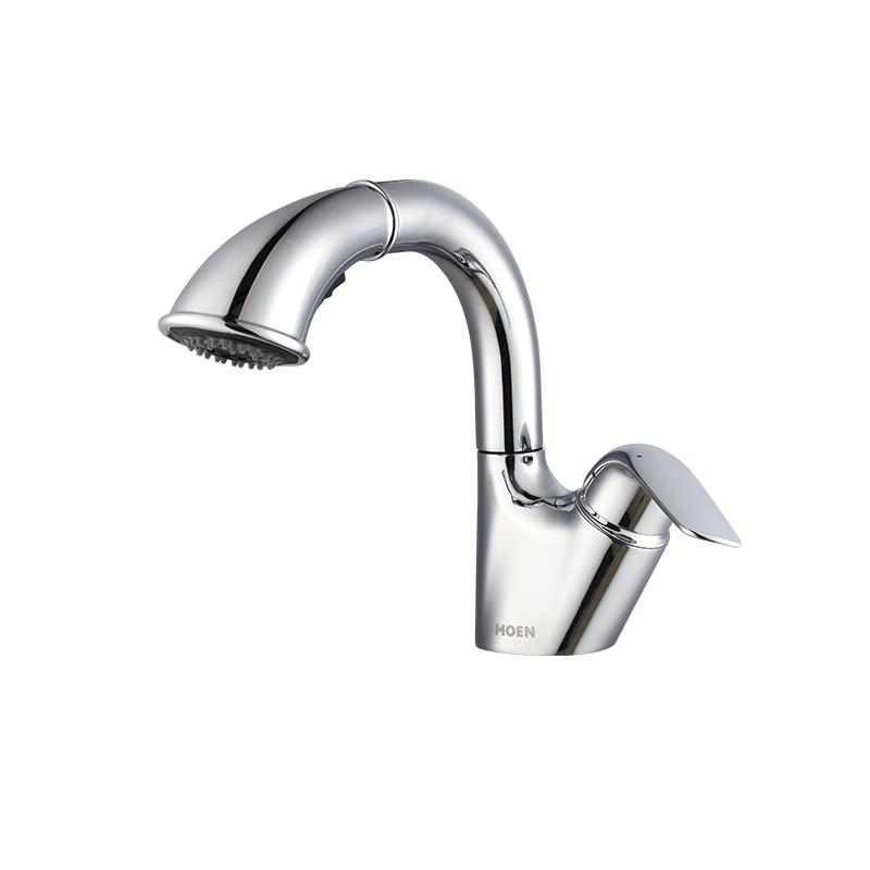 

MOEN Basin Faucet with Pull-Out Spray