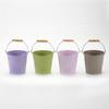 Flower Plant Pots with Handle Iron Potted Hanging Planter Outdoor Flowerpots Basket Bucket Vase Suitable for Food Snacks