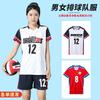 Quick Dry Volleyball Uniform Set Men Women Team Training Competition Short Sleeve Jersey