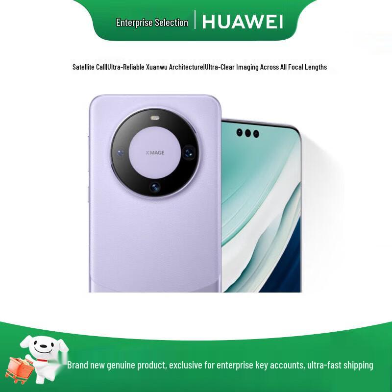 

HUAWEI Mate 60 Pro (CN version)