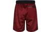 Nike Sports Shorts Men's Red Moderate BV4610-677