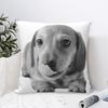 Cute Dachshund Puppy Throw Pillow Cover Polyester Cushions for Sofa Wiener Sausage Doxie Dog Lover 4545cm Cushion Covers