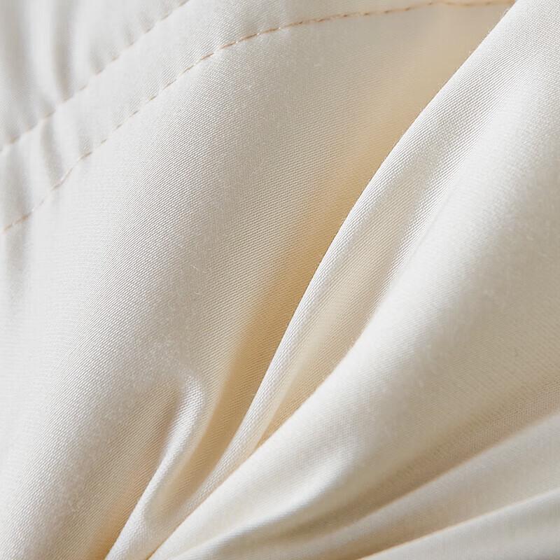 Fuanna Carlos Le Xiang Composite Latex Pillow