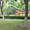 Vidaxl Taśma Do Slackliningu, 15 M X 50 Mm, 150 Kg, Zielona