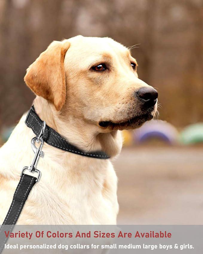 Reflective Anti-Strangulation Adjustable Pet Collar for Dogs & Cats
