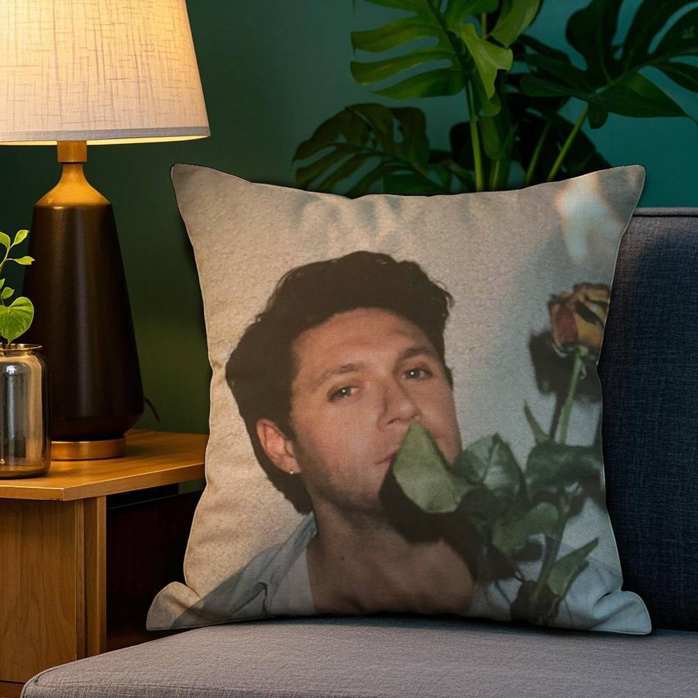 Singer Pillow Case Sofa Living Room Bedroom Double-Sided Printing N-Niall Horan Square Cushion Nap Time Pillow Case