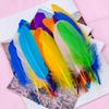 50Pcs15-20Cm Natural Goose Feather Multicolor Handicraft Dream Catcher Swan Feather Family Party Jewelry Decoration