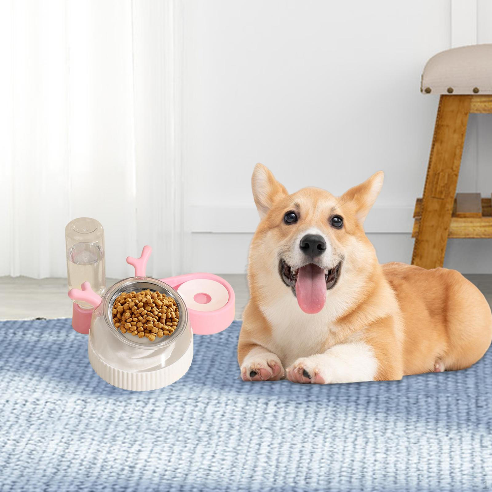 

Набор мисок для корма и воды для кошек и собак. Приподнятые миски с бутылкой, нескользящие, наклон 15°.