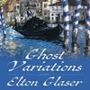 Ghost Variations by Elton Glaser Paperback Book 9780822967194