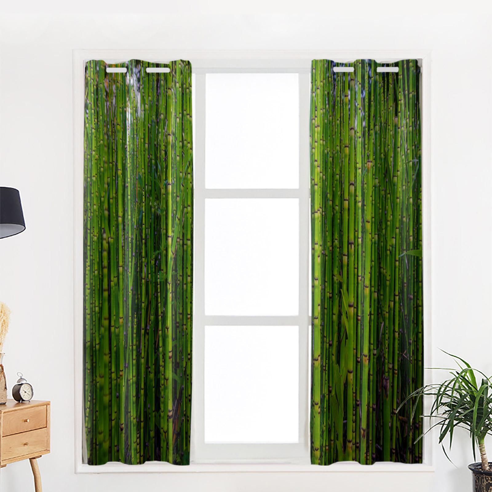 Бамбуковый лес — фото 5