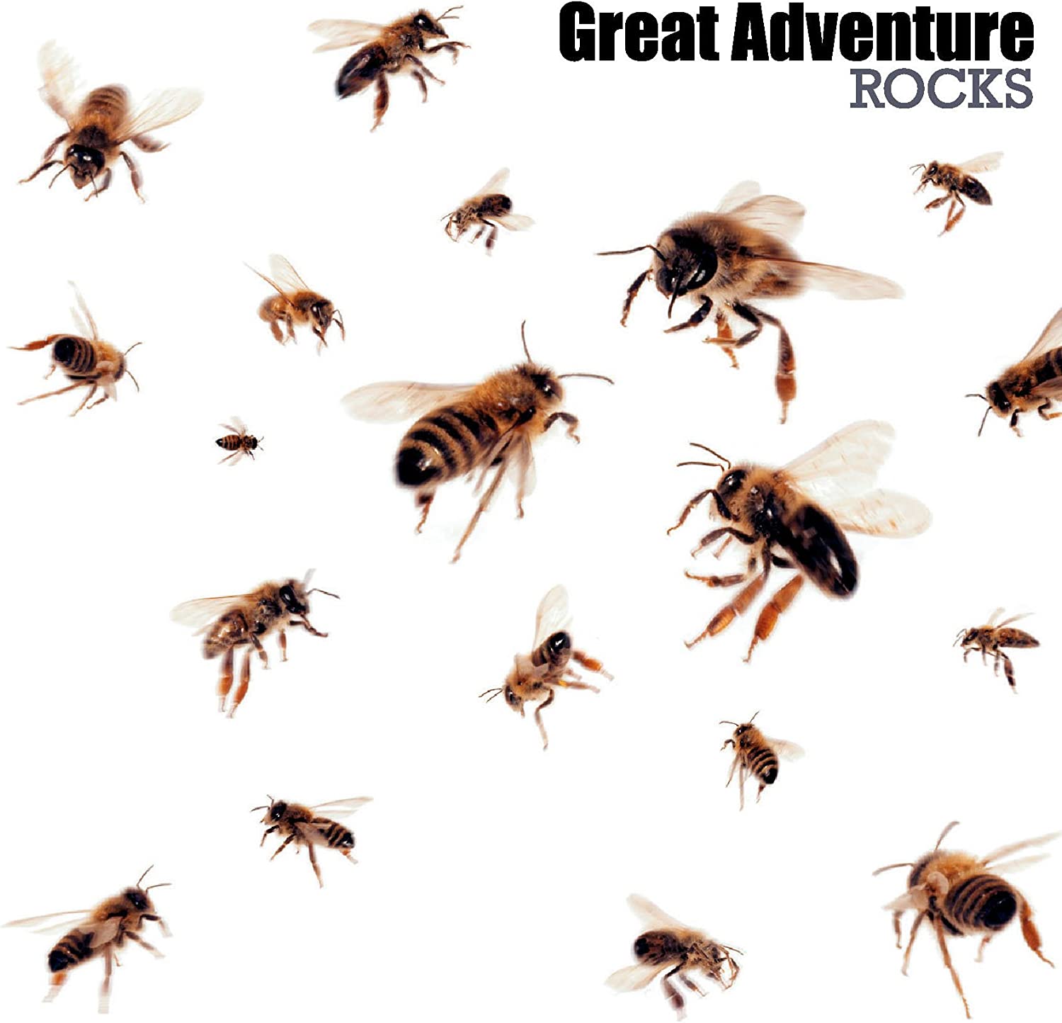 

CD GREAT ADVENTURE - ROCKS TOCP66482 Japan ObiJapanese Pop/Rock Used