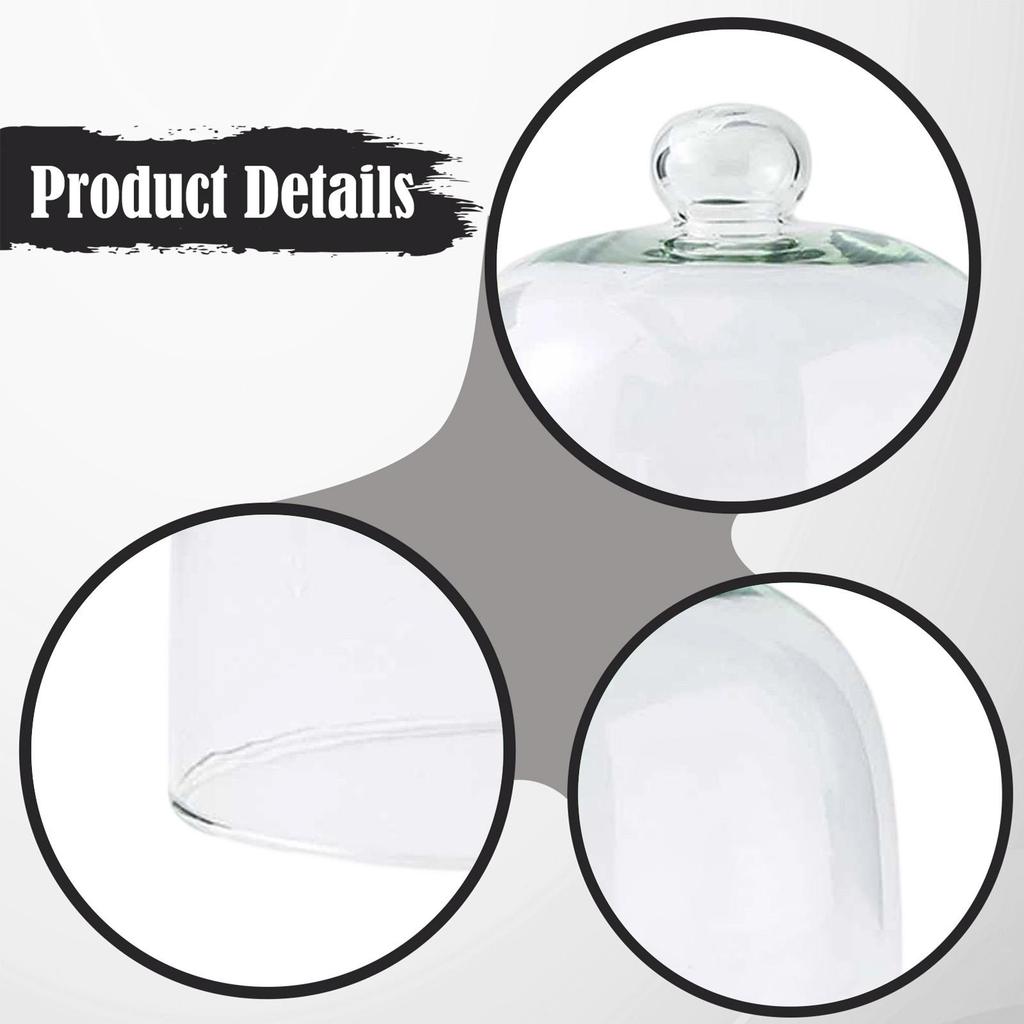 Cake Dome Transparent Serving Cover Lid Display Cloche for Food Fruit Buffet Pastry Dish