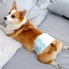 Couches pour Chien: Culottes physiologiques jetables pour chiens mâles et femelles