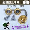 EVOLVERACING Anti-theft Bolt Set for License Plate Specific Vehicle Inspection (Gold Bolt Length 0.6 inch (15 mm)
