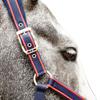 Whitaker Airflow Horse Headcollar and Leadrope Set