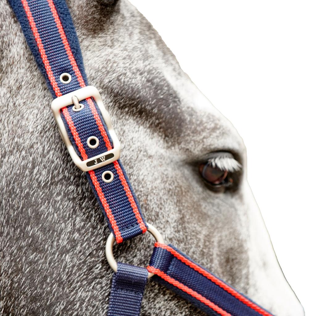 Whitaker Airflow Horse Headcollar and Leadrope Set