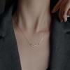 Elegant S925 Sterling Silver Water Drop Necklace - Women's Luxury Niche Design Choker with a Simple, Trendy Style.