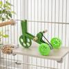 Yousheng Parrot Training Bicycle, Funny Parrot Bike Training Toy, Creative Green Parrot Training Bike for Birds Intelligent
