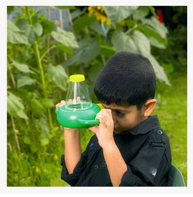 Children's Two-Way Insect Observation Box and Magnifier Toy
