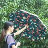 JPZYLFKZL Free Style Creative Long Shank Double Layer Inverted Umbrella Windproof Reverse C-Hook Male Golf Umbrella Reverse