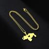 Map Flag Pendant Necklace Clavicle Chain Jewelry Venezuela Symbol Necklace