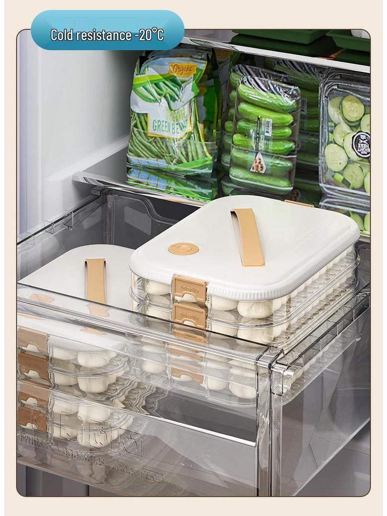 Multi-layer Transparent Dumpling Storage Box with Timer - Kitchen Food Grade Plastic