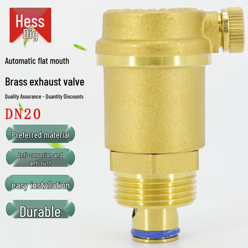 Hesdige Messing Automatische Ontluchter