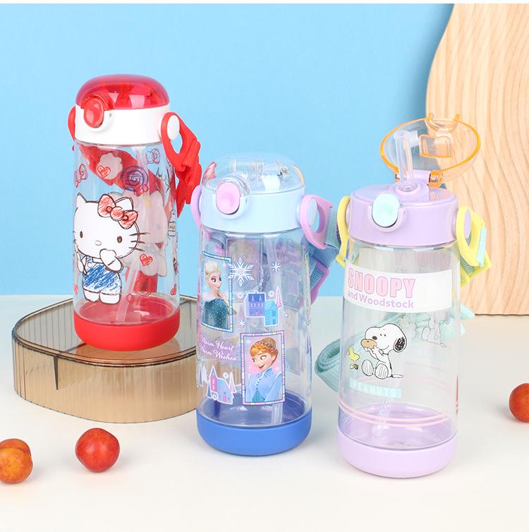 Imported Cute Cartoon Kids' Transparent Straw Water Bottle, 480ml