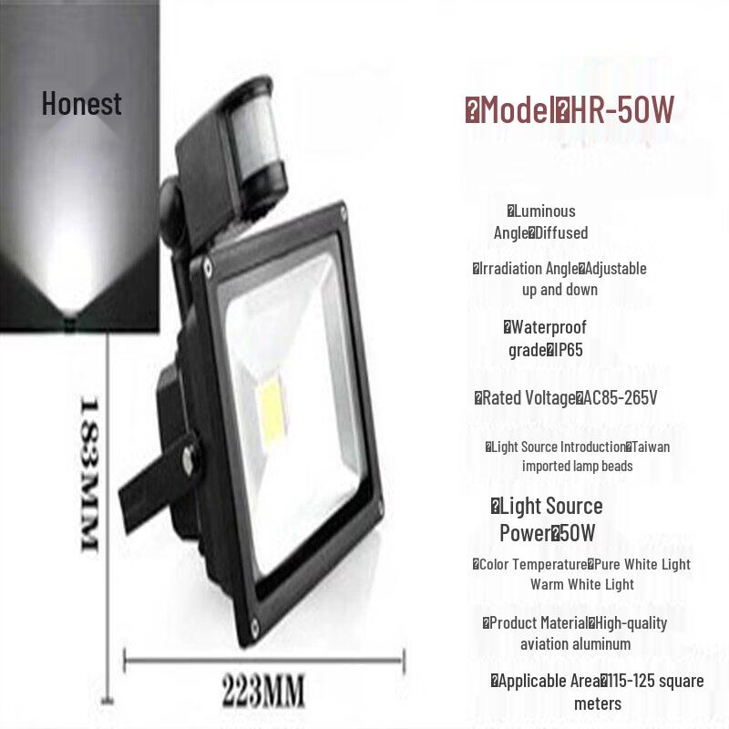 Rongyu 50W Motion Sensor LED Light