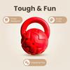Squeaky Kettlebell Dog Toy Interactive Dog Chew Toy with Handle Tooth Cleaning Toy for Aggressive Chewers Dogs Fetch Outdoor Training