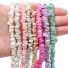 110PCs Natural Colored Horseshoe Snail Irregular Shaped Piece For DIY Necklace Bracelet Earrings Jewelry Making
