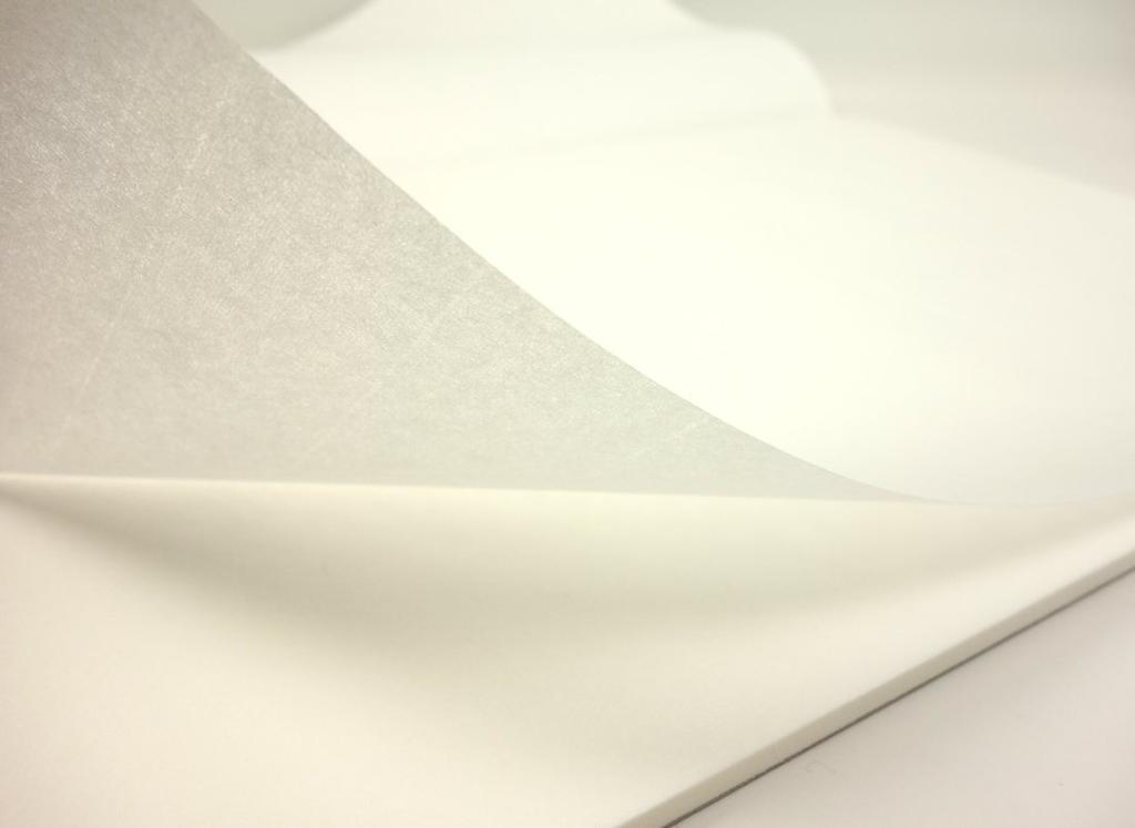 Kokuyo Typing Japanese Typing Premium Tissue 100 Paper, Plain, Paper, B4, Paper, Sheets, Ty-19