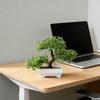 Realistic Artificial Potted Plants In White Perfect for Decorating Corridors Cabinets Drawers Bookshelves Rooms and Tabletops