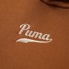 Puma Hooded Pullover Long Sleeve Sweatshirt Men sweatshirt Brown Red 536786-98