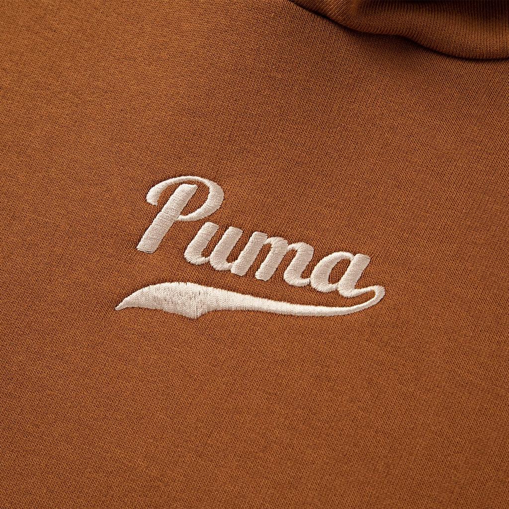 Puma Hooded Pullover Long Sleeve Sweatshirt Men sweatshirt Brown Red 536786-98