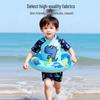 Boys' Cartoon Dinosaur Rash Guard Swimsuit Set