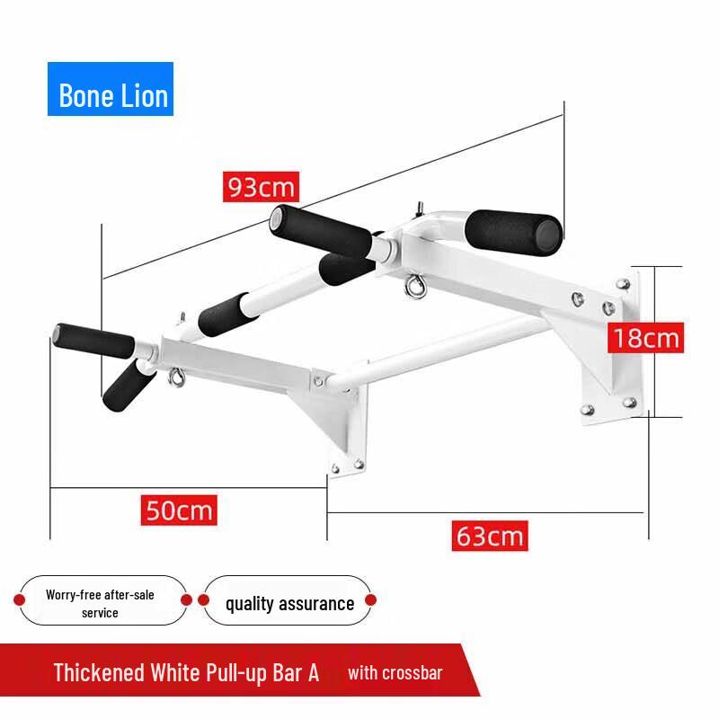 Wall-Mounted Pull-Up and Dip Bar