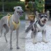 Custom Logo Breathable Reflective Strip Dog Pulling Harness