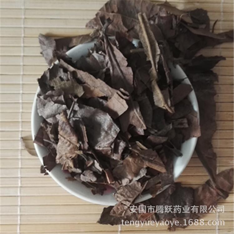 Chinese Herbal Medicine Loquat Leaf - Bulk Purchase Available