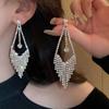 Korean Version Exaggerated Fringed Earrings Personality Super Fairy Face Thin Temperament Earrings Retro Ear Jewelry