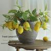 Composizione Floreale Fresca Stile Foresta con Rami di Limone per Decorazione Soggiorno o Vetrine