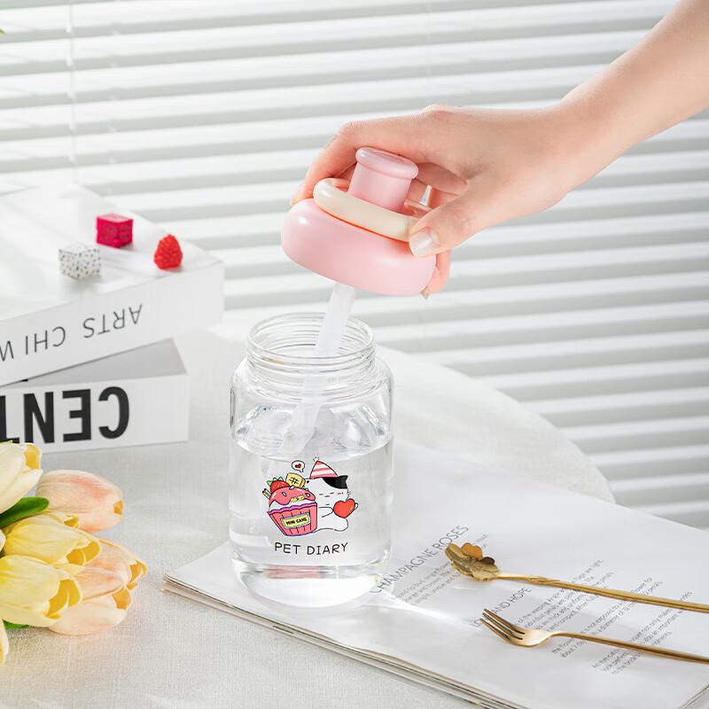 Shanzhongshan Portable Glass Straw Cup