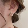 Maillard Caramel Brown Earrings Women's Geometric Square High-end Stud Earrings New Exquisite Silver Needle Ear Jewelry