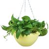 7Pcs Hanging Planters Drainage Metal Chains Plastic Holes And Flower Pots with Hanging Flowerpots
