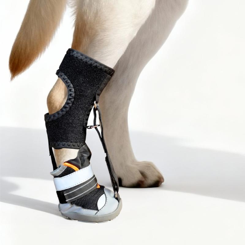 Fashion Dog Shoe Recovery Boot Waterproof Pet Shoe Snow Rain Dog Recovery Boot For Daily Walks