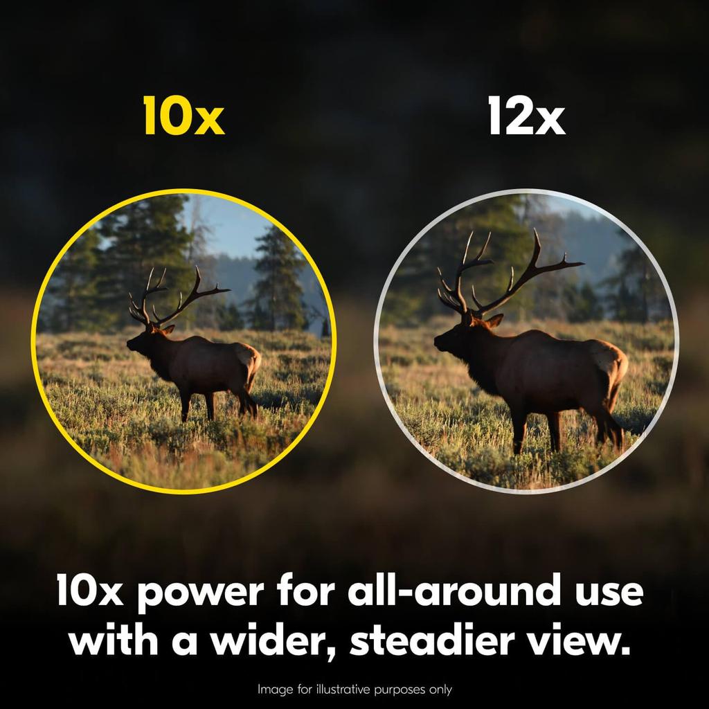 Nikon PROSTAFF P7 10x50 Binoculars High Magnification Wide FOV Waterproof Fogproof 50mm Multi-Coated Lenses Locking Diopter Wildlife Nature
