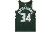 Nike Nba Antetokounmpo Milwaukee Bucks Dri FIT Icon Edition Jersey Hunter Green/Light Golden/Cloud White CW3672-329