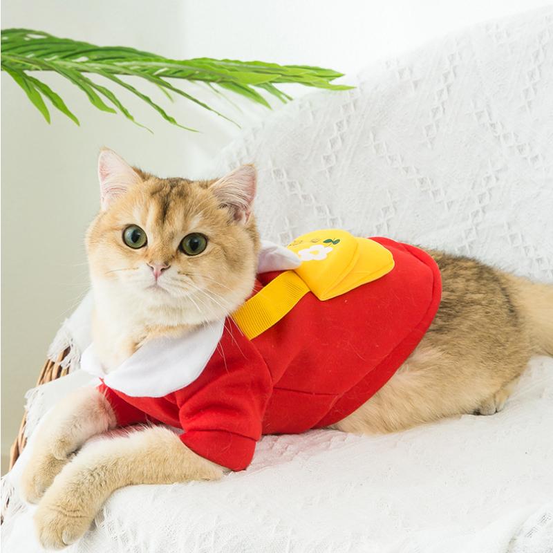 Cat Clothes Autumn and Winter Warm Two-legged Sweatshirt Anti-fall Hair Muppet Satchel Small Dogs Dog Pet Clothing