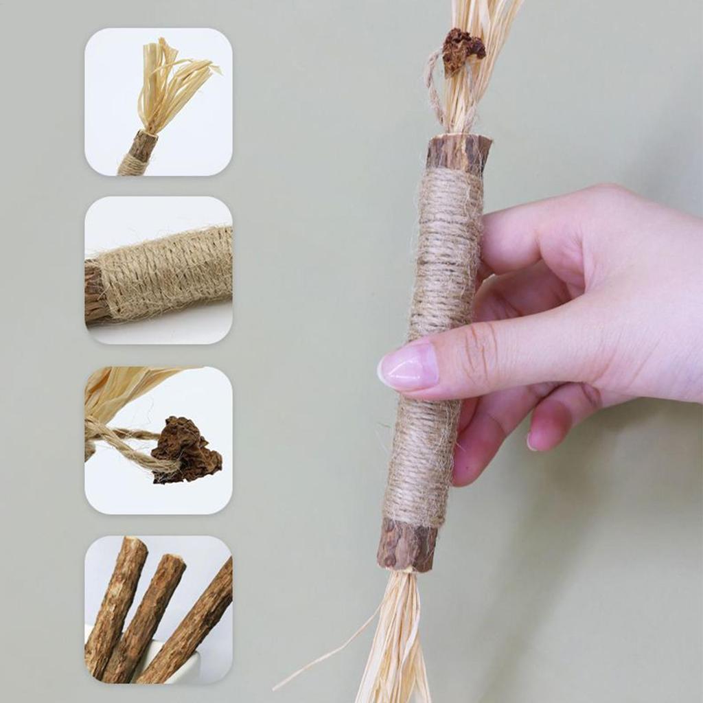 5pc Cat Toy Cleaning Teeth Silvervine Chew Stick Pet Snacks Sticks Natural Stuff with Catnip for Kitten Catnip Teasing Chew Toys